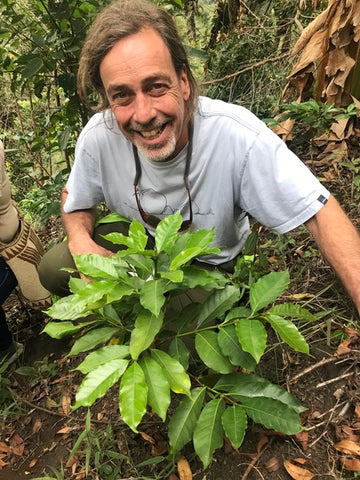 Bean North owner Michael with a young coffee plant.