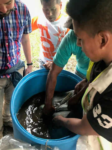 Mineral additives and EM’s (effective micro-organisms ) ... all after a visit from COMSA (Honduras) - farmers sharing with farmers, supported by Cooperative Coffees. Amazing! 