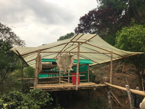  A solar dryer at the Fondo Paez cooperativa.