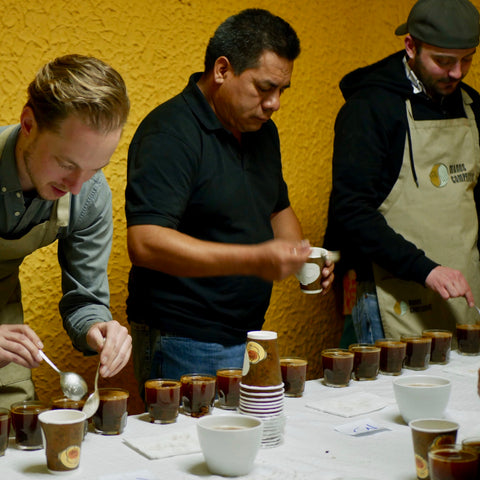 Cupping local coffees in Guatemala | Bean North Coffee Roasting