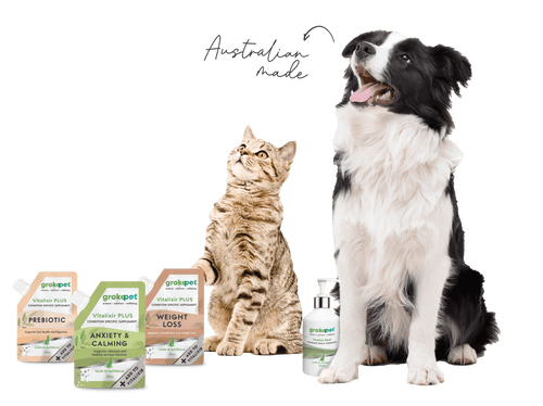 Goke Pet Pet Supplements Header Image