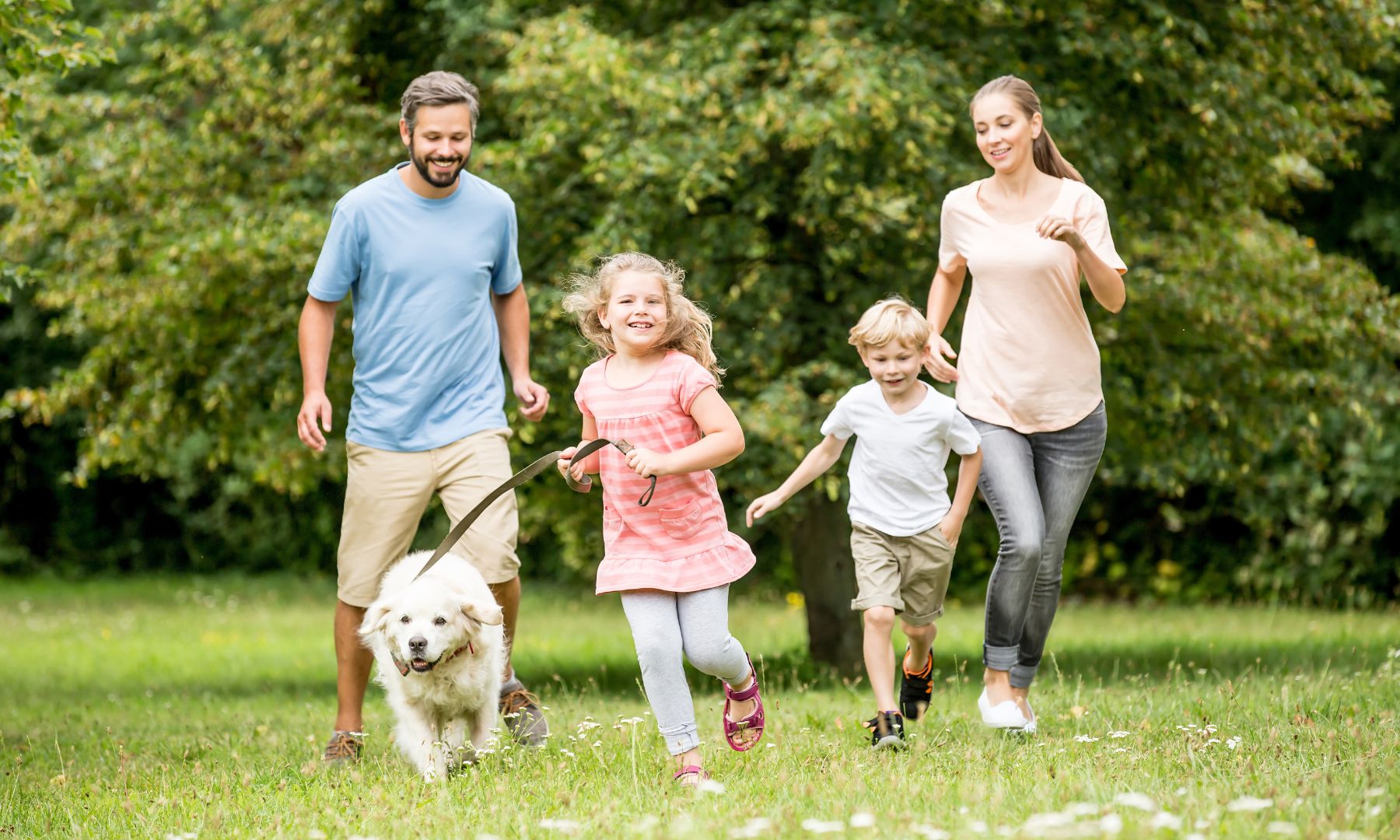 Dog and family playing happily in the park