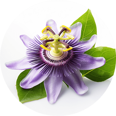 Passionflower Icon