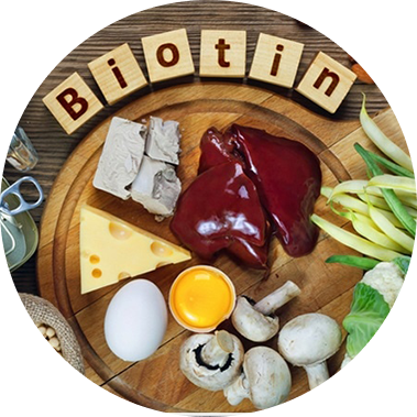 Biotin (Vitamin B7) Icon