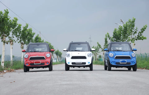 A line of Wink Motors brand low speed electric vehicles