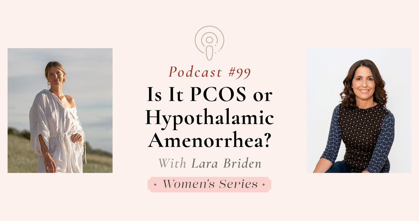 lara briden menopause book