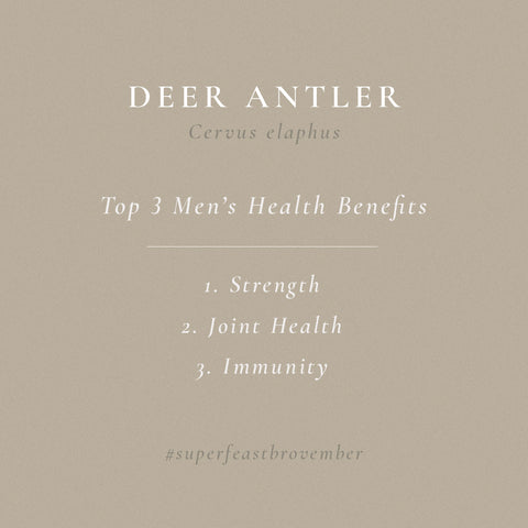 deer-antler-health-benefits