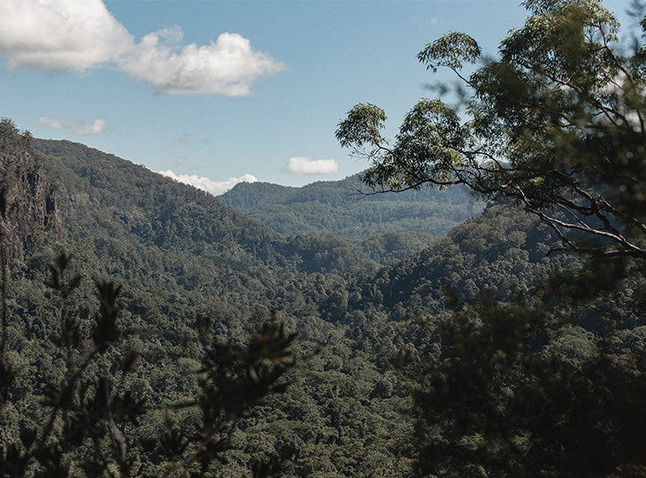 Nightcap national Park, NSW, Australia