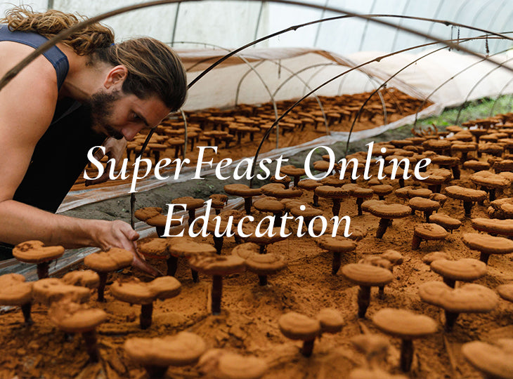SuperFeast Herbal Education