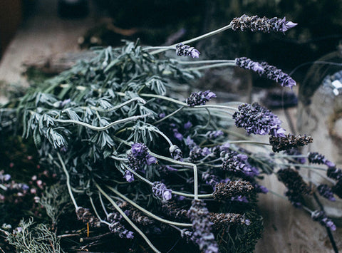 Image of a bunch of lavender laying on a table.