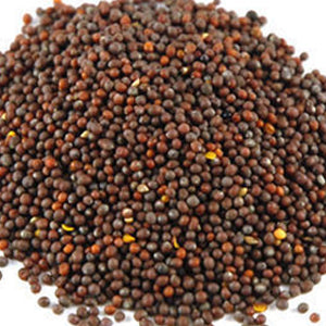 Mustard Seeds