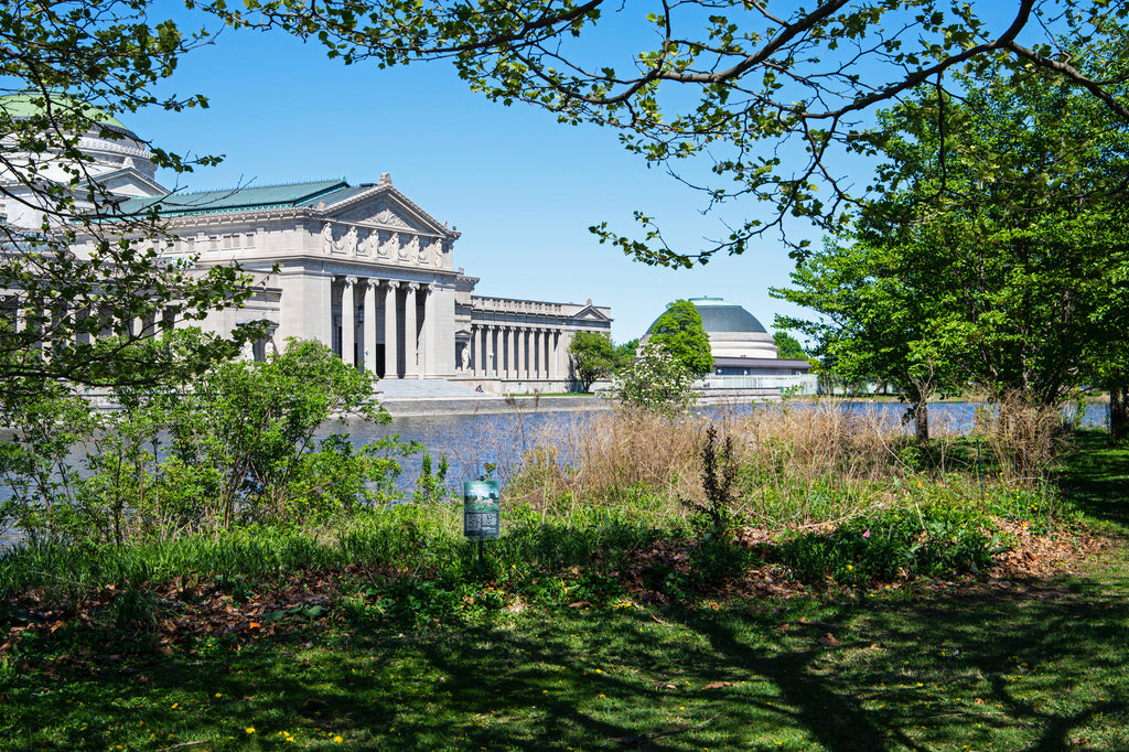 Field Museum - credit Walter Martin