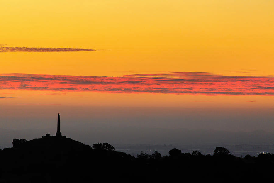 One Tree Hill Auckland by LEISURE