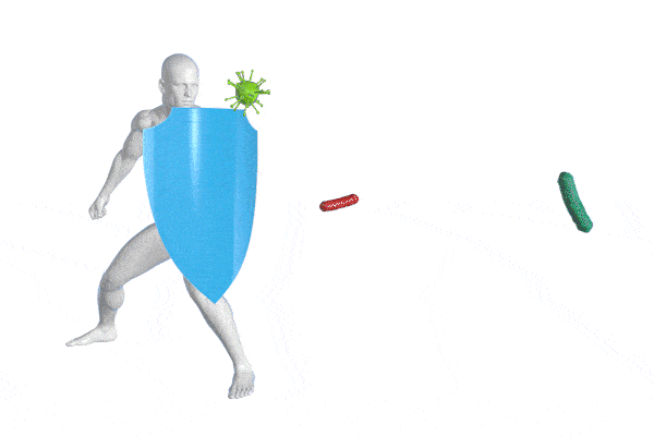 Vitamin D. Immunsystem