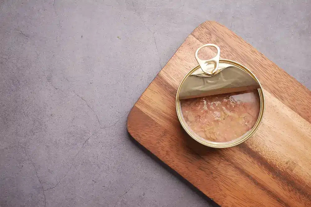 Thunfisch Dosen