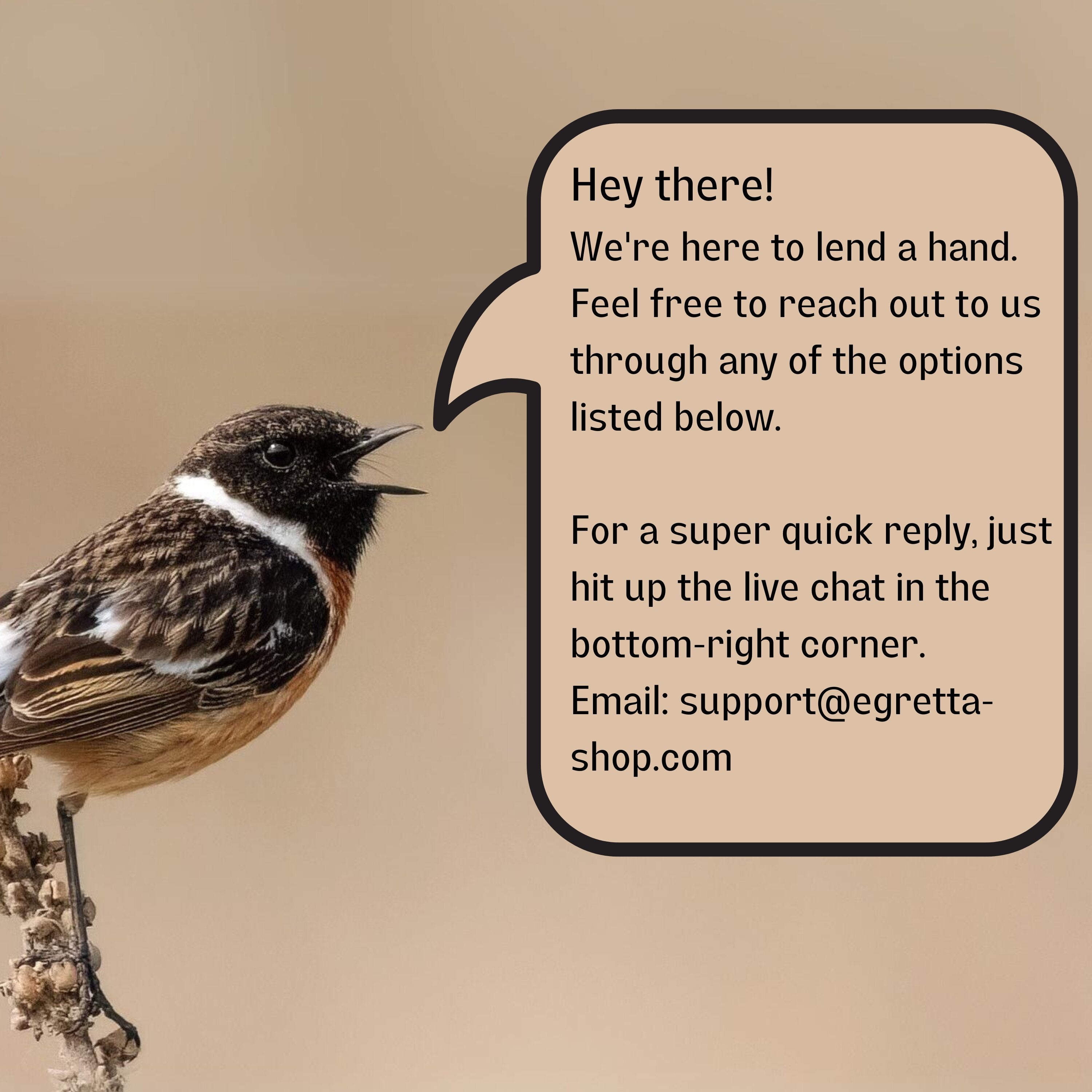 European stonechat is singing the contact info of Egretta.
