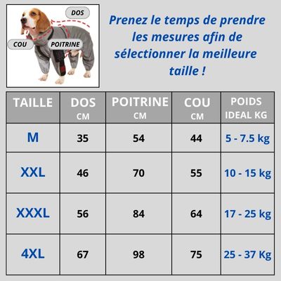 impermeable-chien-tailles