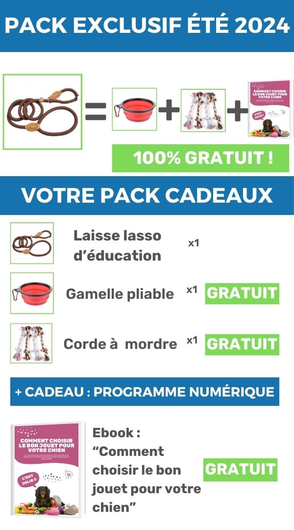 laisse-lasso-pack