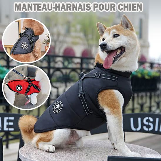 manteau-chien-harnais