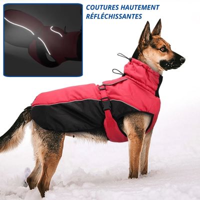 manteau-chien-securite