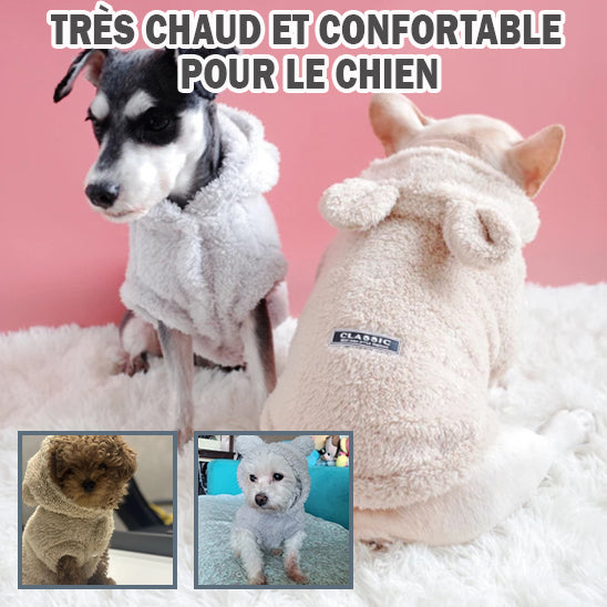 pull-chien-doux