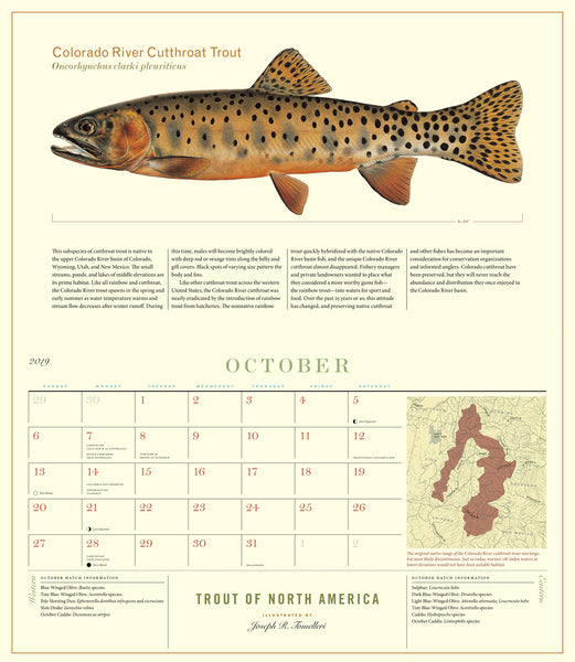 trout-of-north-america-2019-calendar-scott-nix
