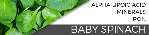 Baby Spinach Vital 4U Blog