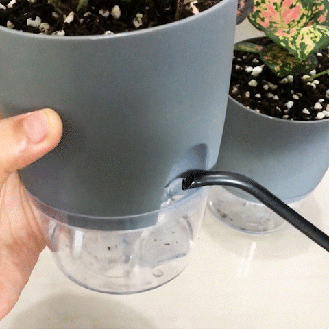 Unava™ self-watering pot - Always beautiful and healthy plants (50% di –  JINEE STORE