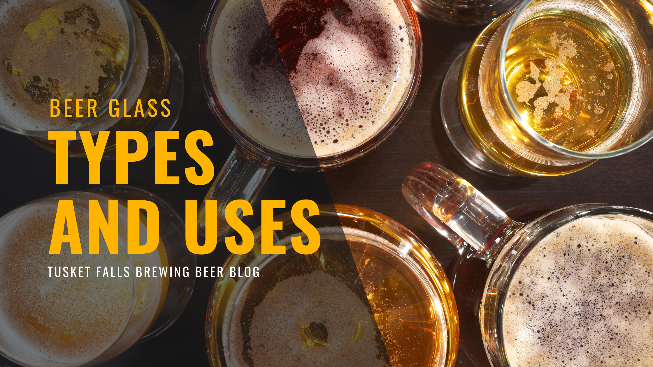 Beer Glass Types and Uses • Tusket Falls Brewing