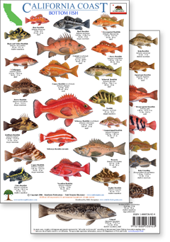 California Rockfish Chart