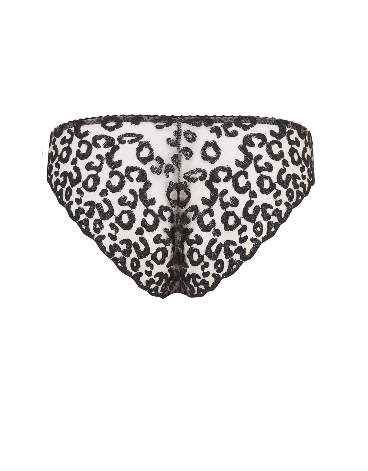 Kittie Brief