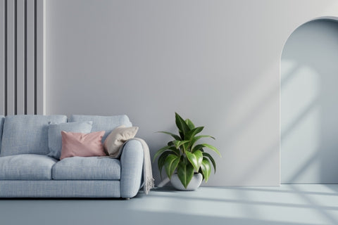 blue-sofa-with-plant-white-wall-blue-flooring