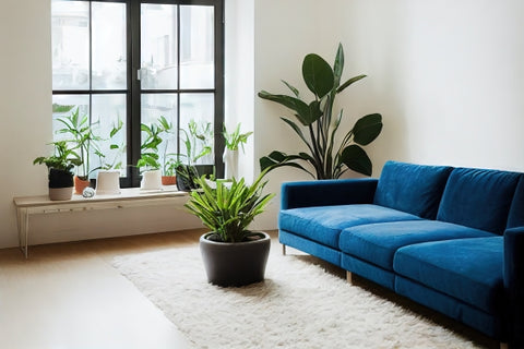 cozy-minimalist-interior-design-scandinavian-style-no-people