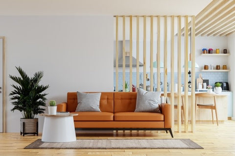 living-room-with-orange-couch