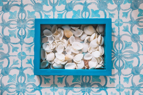 marine-composition-with-shells-frame
