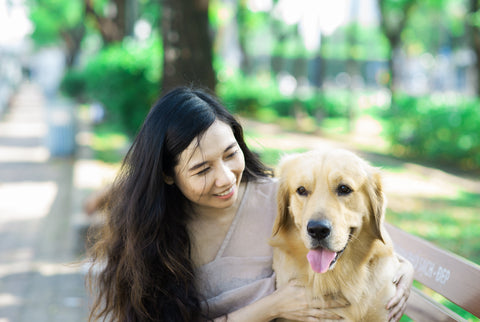 dit doe je tegen jeuk bij golden retrievers