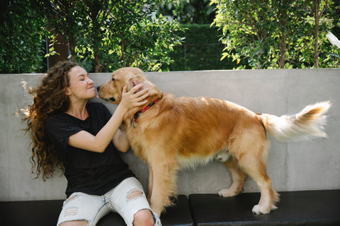 verminder stress bij je golden retriever