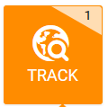 Track 17 button