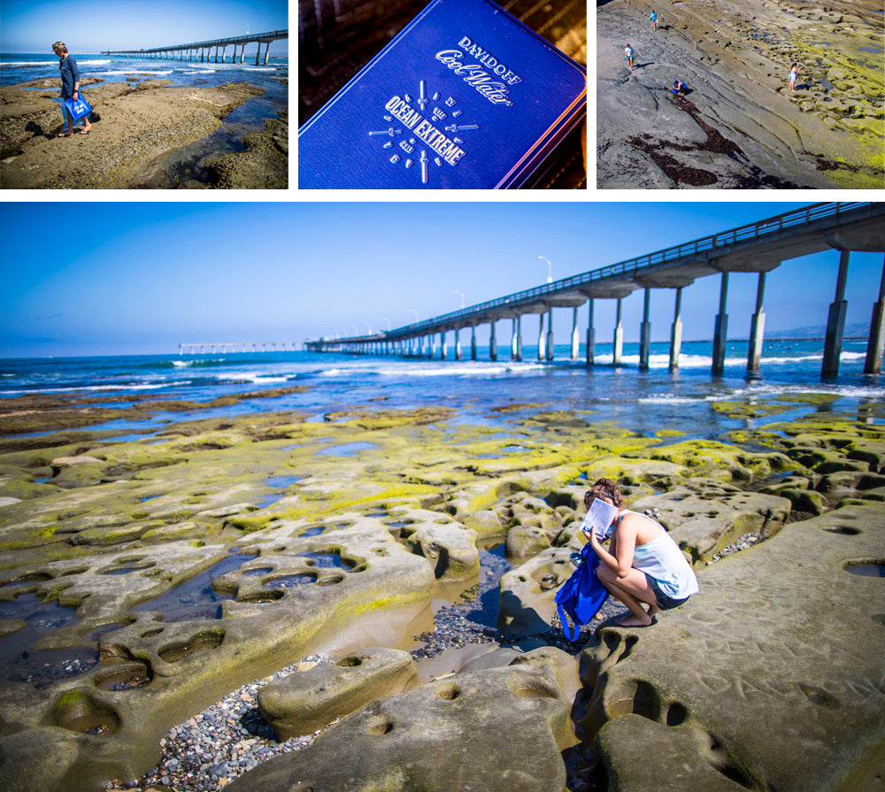 Ocean Beach Clean-Up 2