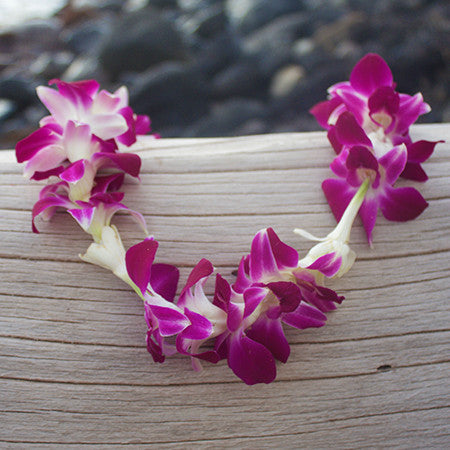 Purple Orchid Leis (10 Leis) | Hawaii Flower Delivery