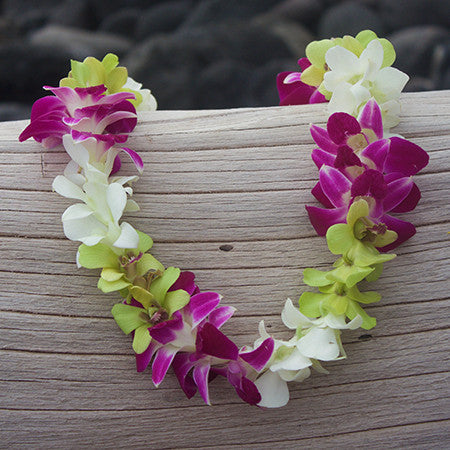 Hawaiian Orchid Lei, Classic Single