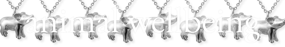 Pig necklace - Animal wellbeing collection banner