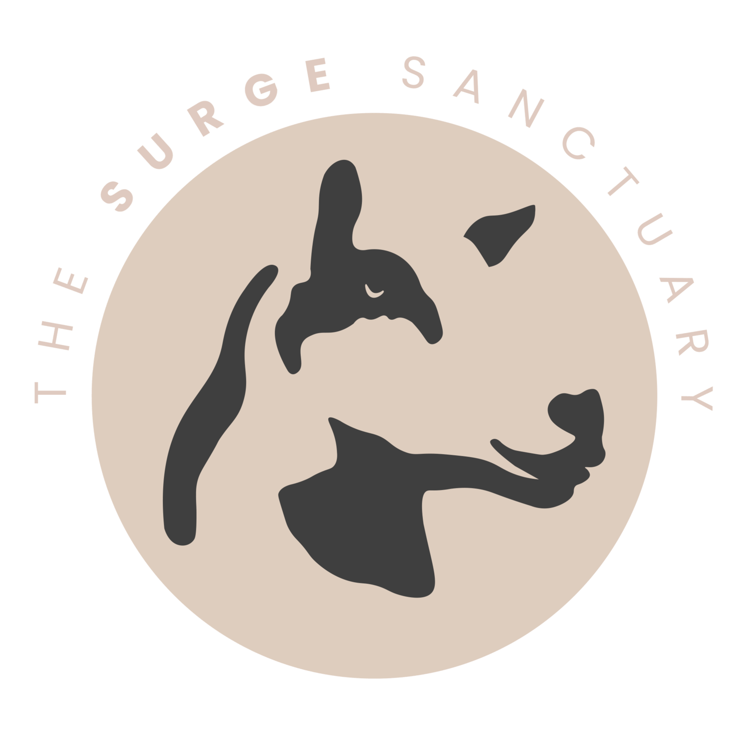 Surge Sanctuary Logo