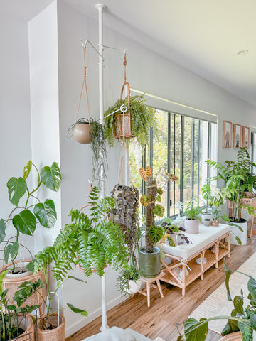 How to Install – The Urban Jungle