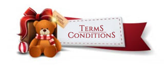 north-pole-christmas-shop-conditions