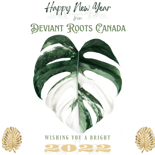 Deviant Roots Canada