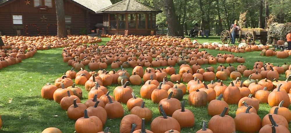 10 Ways to Celebrate Halloween with Your Kids - Tiny Mills