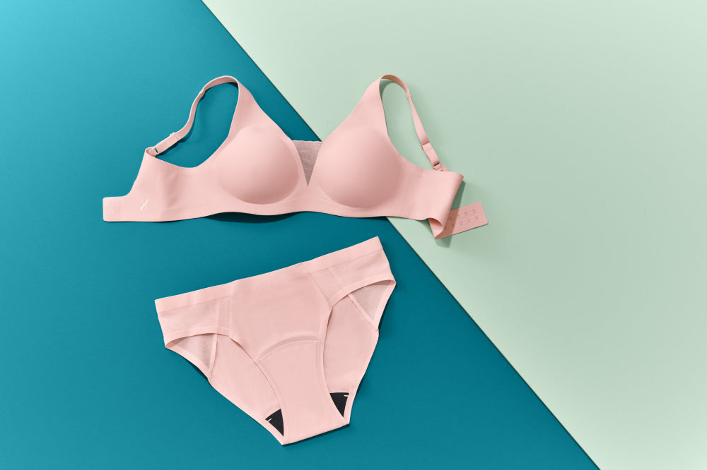 Shadow Mesh Leakproof Bikini in Rose Water display: full