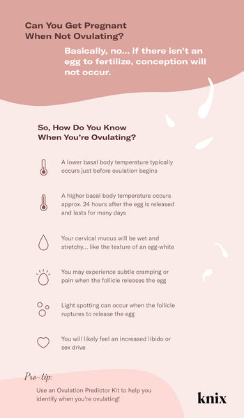 Can You Get Pregnant When Not Ovulating? – Knix