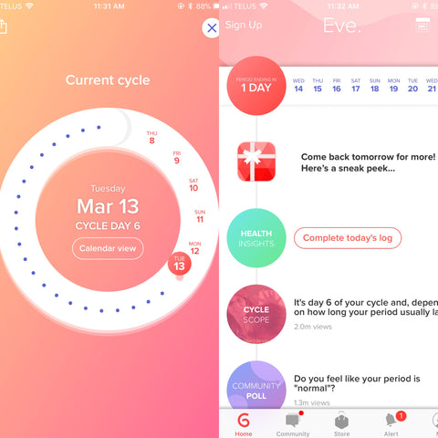 Eve Period Tracker Review
